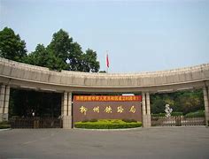 柳州铁路机车队携手共进，迎战关键一役显威风的简单介绍